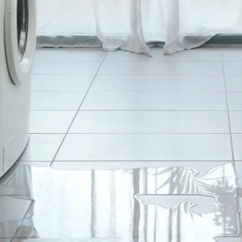 Appliance Leak Cleanup in Erie, IL