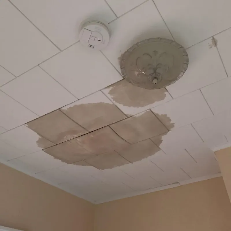 Ceiling Water Damage Repair in Erie, IL