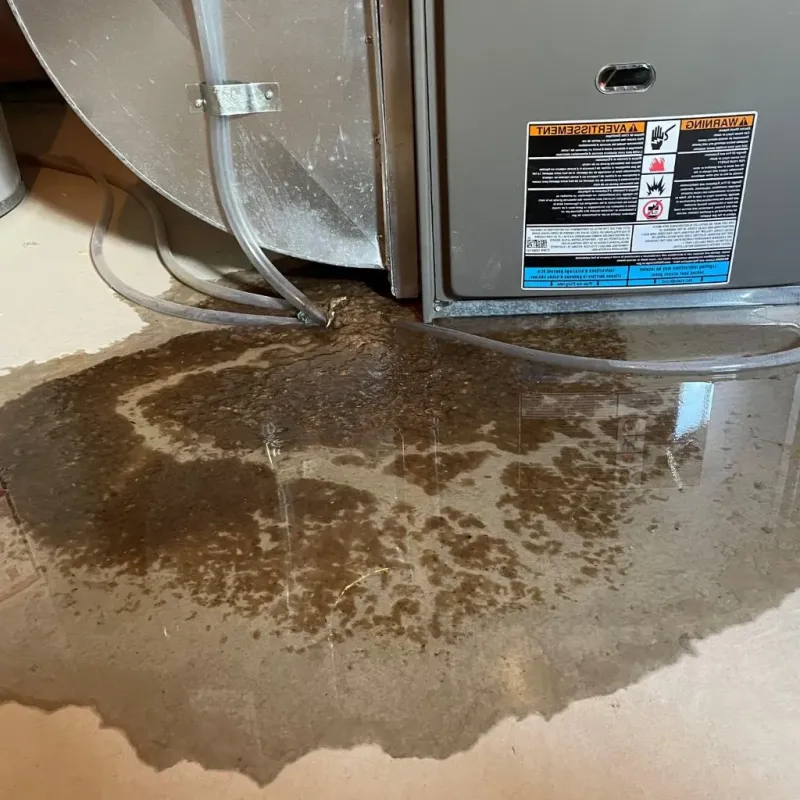Pipe Burst and Leak Restoration in Erie, IL