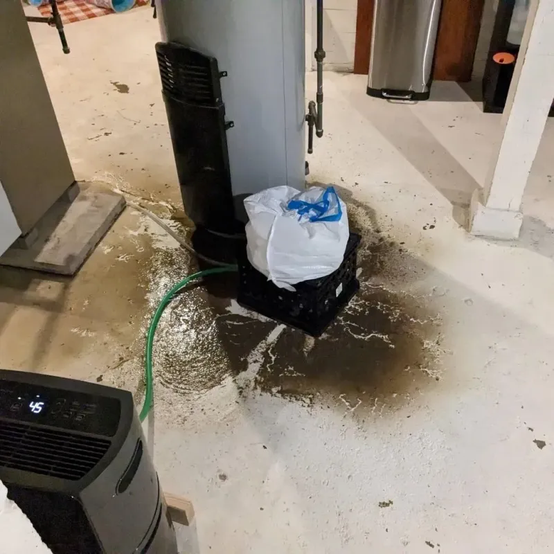 Sewage Backup Cleanup Service in Erie, IL